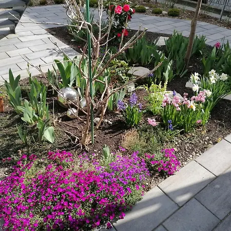 Apartament In Mit Grossem Balkon *